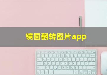 镜面翻转图片app