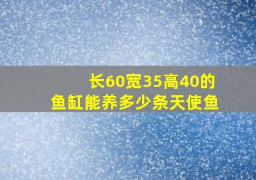 长60宽35高40的鱼缸能养多少条天使鱼