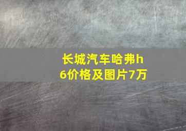 长城汽车哈弗h6价格及图片7万