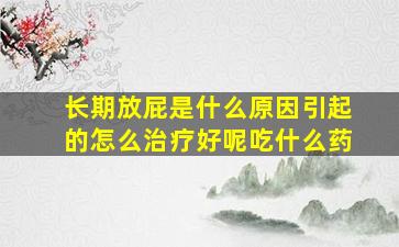 长期放屁是什么原因引起的怎么治疗好呢吃什么药