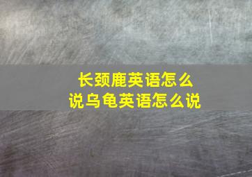 长颈鹿英语怎么说乌龟英语怎么说