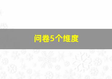 问卷5个维度