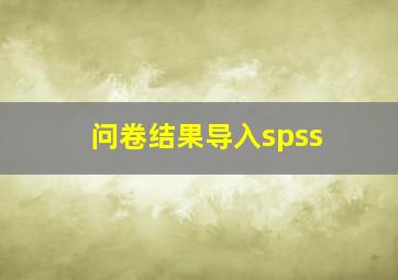 问卷结果导入spss