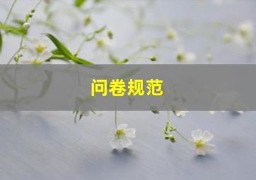 问卷规范