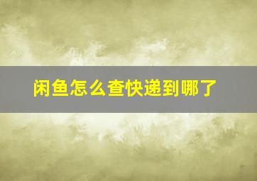 闲鱼怎么查快递到哪了