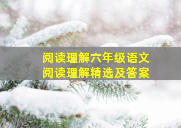 阅读理解六年级语文阅读理解精选及答案