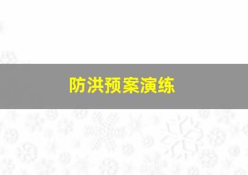 防洪预案演练