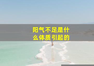 阳气不足是什么体质引起的