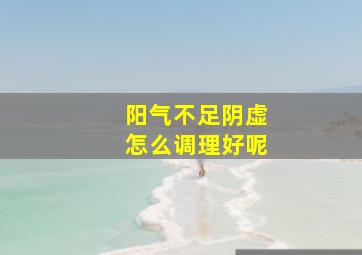 阳气不足阴虚怎么调理好呢