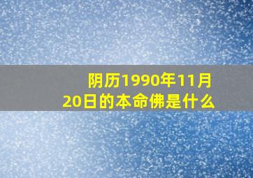 阴历1990年11月20日的本命佛是什么