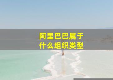 阿里巴巴属于什么组织类型