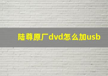 陆尊原厂dvd怎么加usb