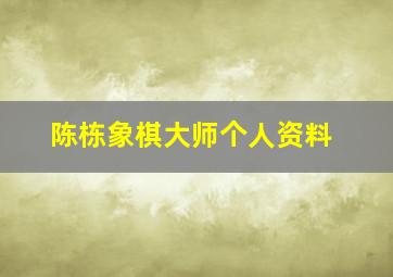 陈栋象棋大师个人资料