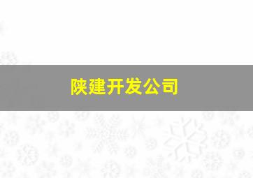 陕建开发公司