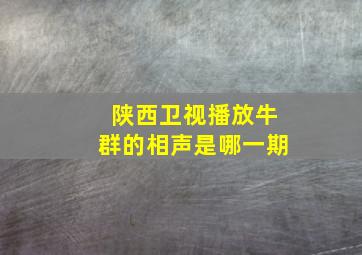 陕西卫视播放牛群的相声是哪一期