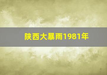 陕西大暴雨1981年