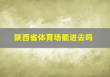 陕西省体育场能进去吗