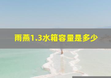 雨燕1.3水箱容量是多少