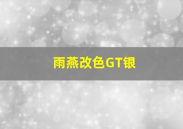 雨燕改色GT银