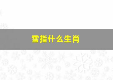 雪指什么生肖