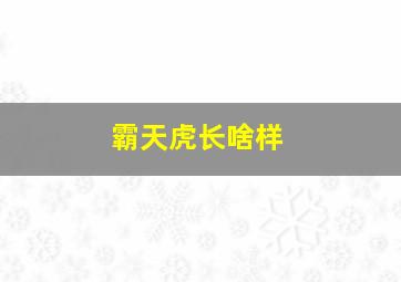 霸天虎长啥样