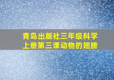 青岛出版社三年级科学上册第三课动物的翅膀