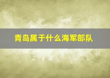 青岛属于什么海军部队