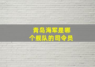 青岛海军是哪个舰队的司令员