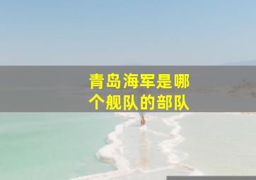 青岛海军是哪个舰队的部队