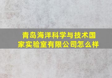 青岛海洋科学与技术国家实验室有限公司怎么样