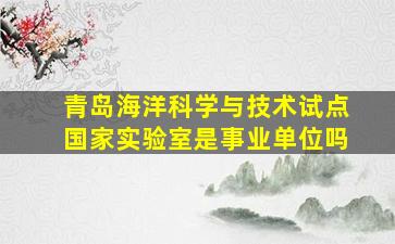 青岛海洋科学与技术试点国家实验室是事业单位吗