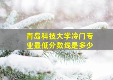 青岛科技大学冷门专业最低分数线是多少