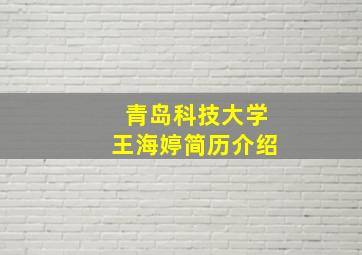 青岛科技大学王海婷简历介绍