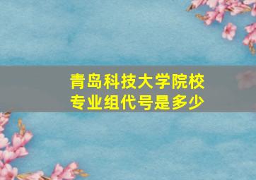 青岛科技大学院校专业组代号是多少