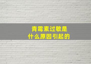 青霉素过敏是什么原因引起的