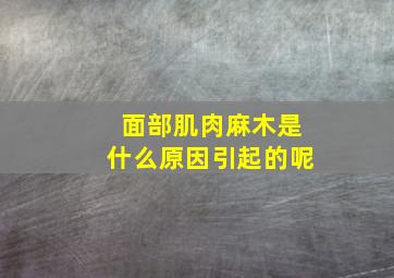 面部肌肉麻木是什么原因引起的呢