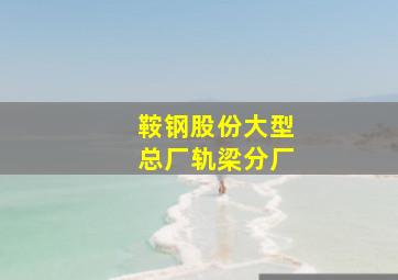 鞍钢股份大型总厂轨梁分厂