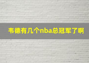 韦德有几个nba总冠军了啊