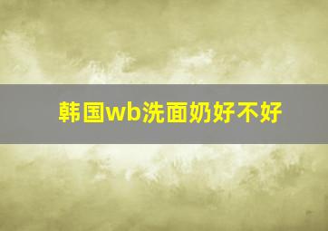 韩国wb洗面奶好不好