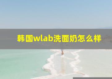 韩国wlab洗面奶怎么样