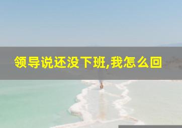 领导说还没下班,我怎么回