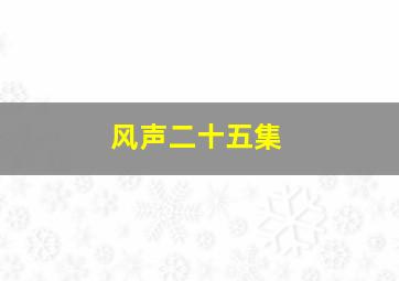 风声二十五集