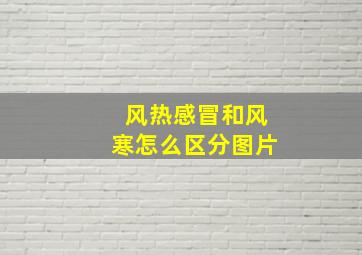 风热感冒和风寒怎么区分图片