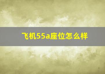 飞机55a座位怎么样