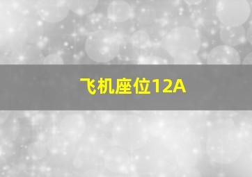 飞机座位12A