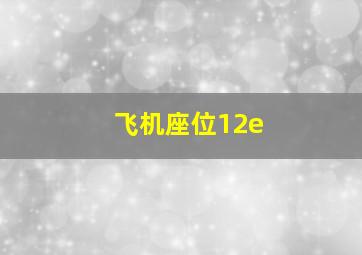 飞机座位12e