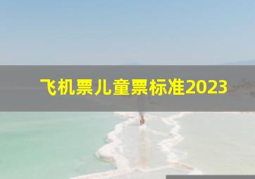 飞机票儿童票标准2023