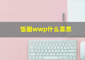 饭圈wwp什么意思