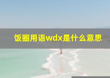 饭圈用语wdx是什么意思