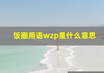 饭圈用语wzp是什么意思